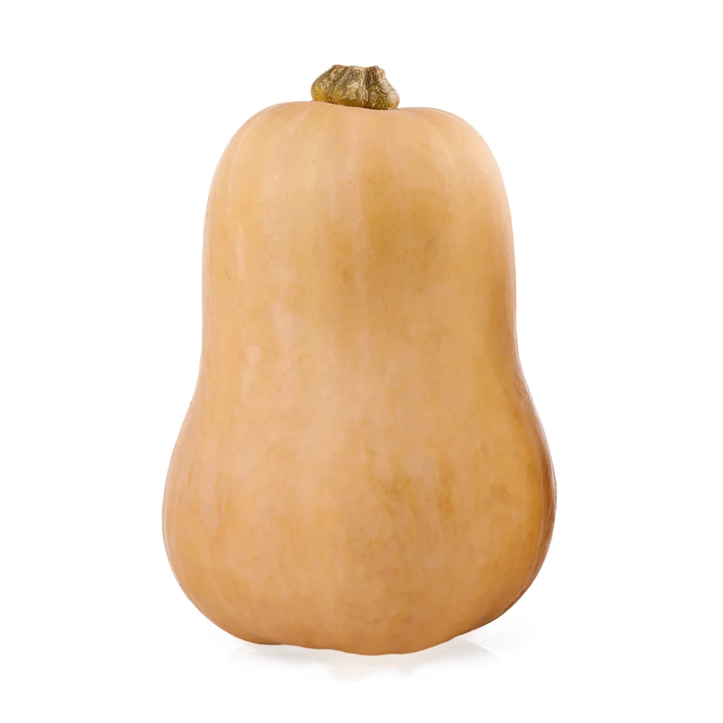 Pumpkin Butternut Whole around 2kg