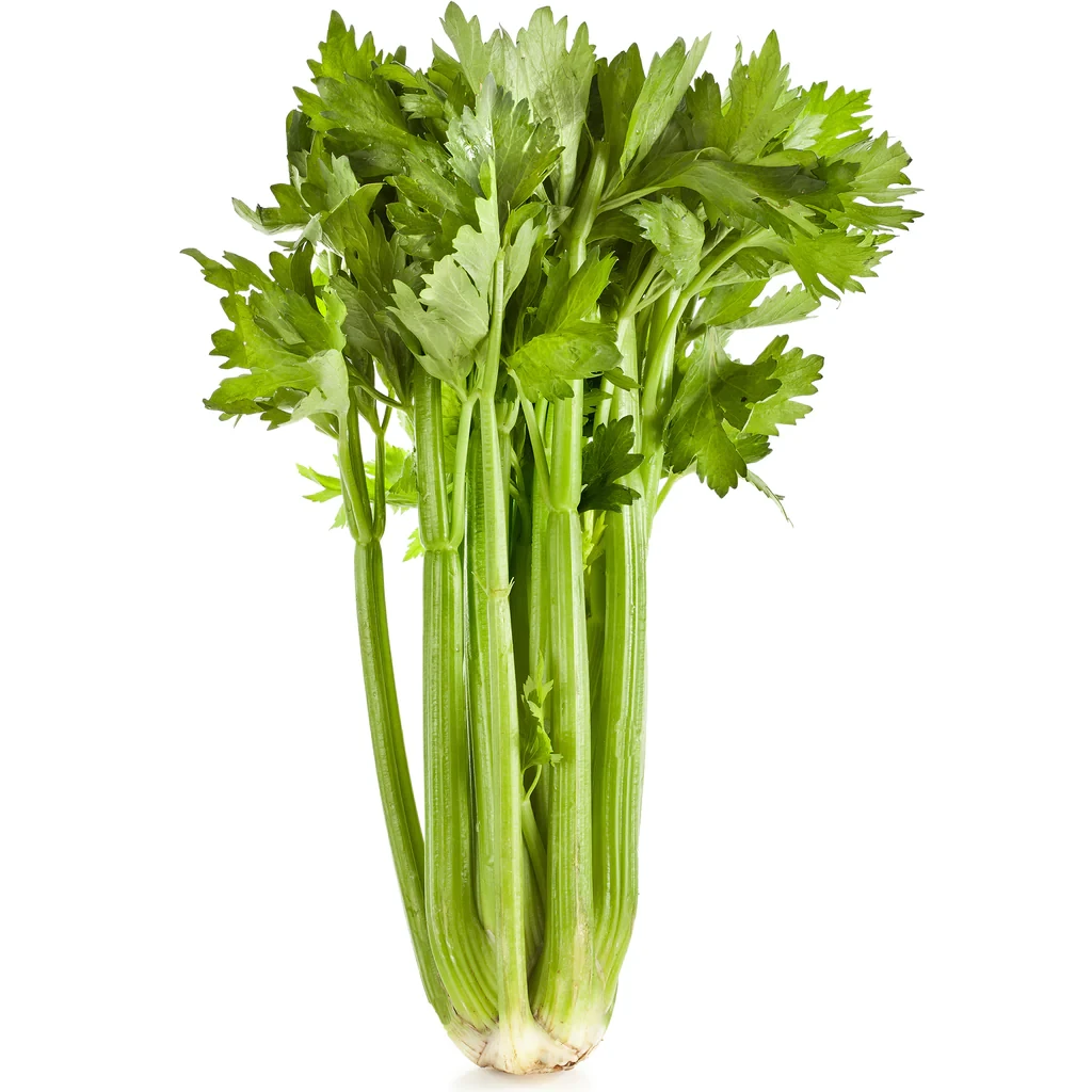 Celery Whole