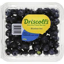 Blueberries Punnet