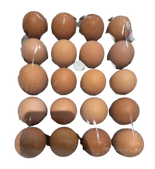 Pirovic farm large Eggs Tray x20