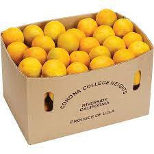 Orange Valencia premium Box 15 kg